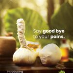 Thejus Kizhi (Combo Pack)